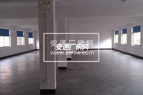 工业用房 二楼三楼 适合轻工业 办公仓库 可注册