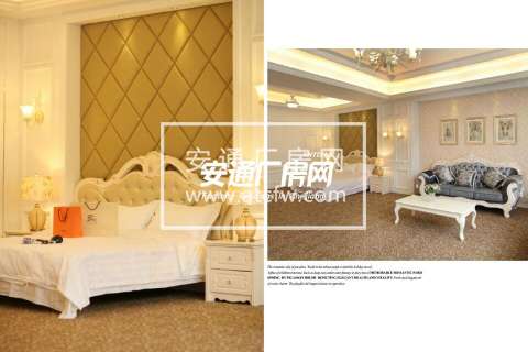 滨文路附近江虹南路大型实景影棚低价转让或空房出租