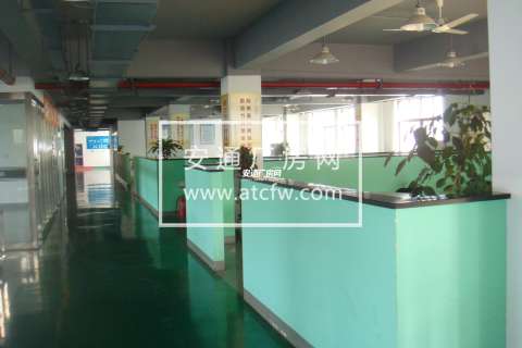 下沙5000方厂房办公楼整幢招租