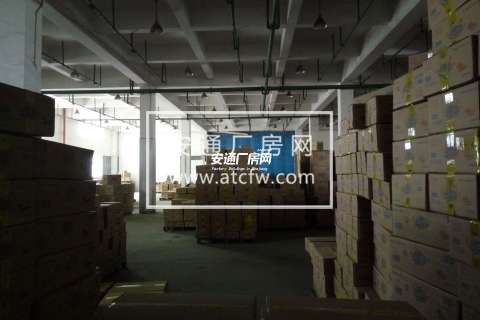 下沙文津北路1500方库房出租