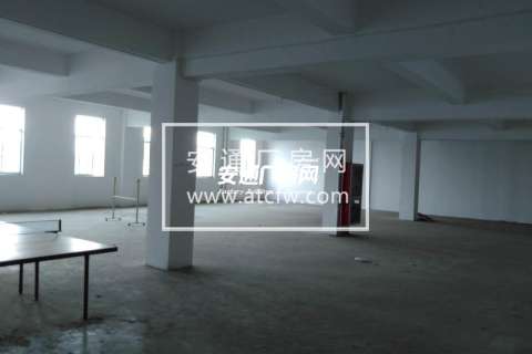 塘栖整幢1万方出租