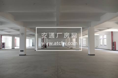 星桥独幢7000方厂房