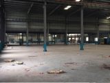 萧山区临浦镇2000方底层可分租厂房