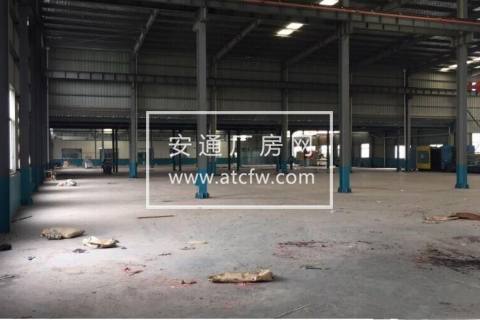 萧山区临浦镇2000方底层可分租厂房