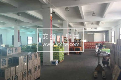 仁和1300方仓库出租