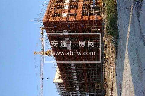 塘栖北7公里，杭州市区15公里处，低价出售50年产权独栋厂房