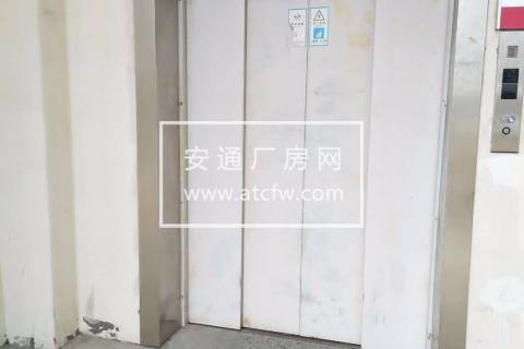 近G15高速松江800平 税收已满可做仓库 配货梯