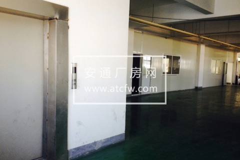 枫泾工业区独院42亩大空地绿证104板块可生产型厂房诚售
