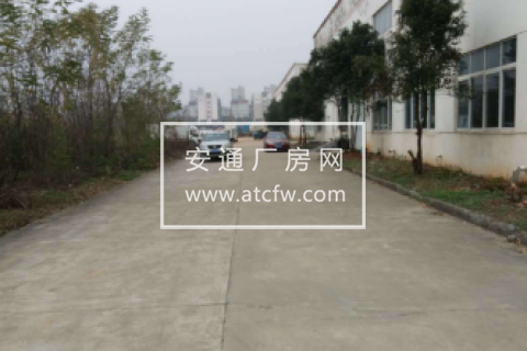 芜湖县绝佳位置仓库一楼大空间标准化仓库对外招租