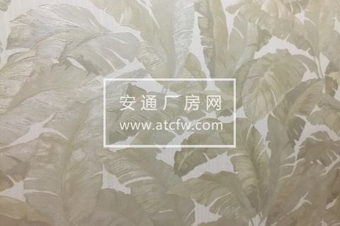 有环评管道蒸汽洗涤公司厂房出租、转让或合作