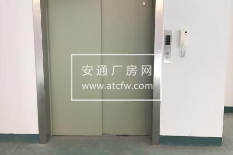 松江双层厂房5000平厂房出租 可环评104地块 层高8米