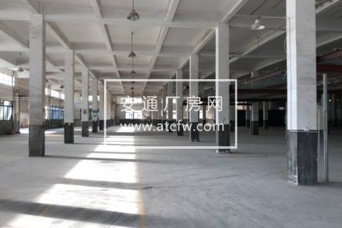 萧山党山6000方底层厂房可分租