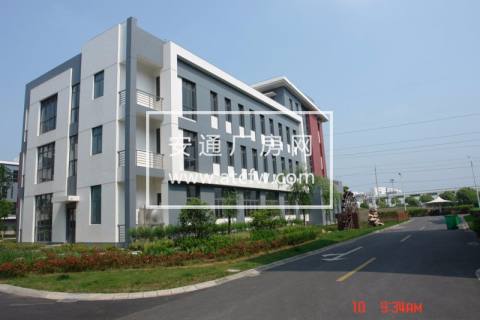 紧邻松江大学城2300平独栋厂房出售层高8米