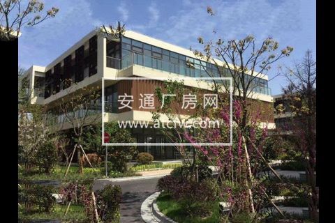 闵行吴泾高档甲级写字楼 高层办公 企业独栋总部办公