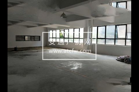 园区260方出租，适合服装、办公、淘宝等