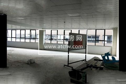 园区260方出租，适合服装、办公、淘宝等