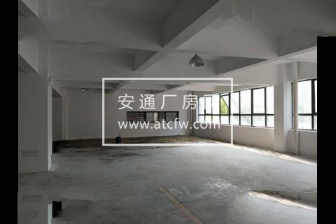 园区260方出租，适合服装、办公、淘宝等
