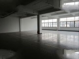 余杭临平经济开发区1800方一楼标准厂房出租