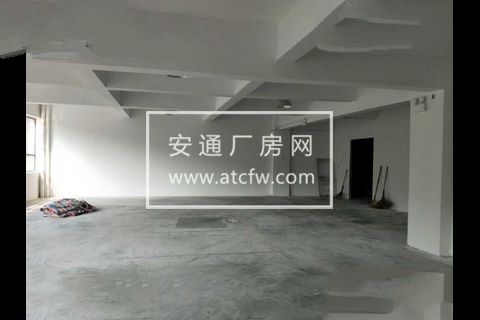 园区260方出租，适合服装、办公、淘宝等