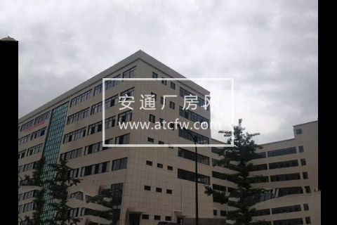 临平星桥1600方厂房便宜出租