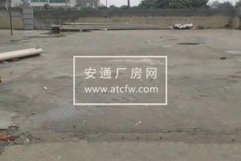 塘栖柴家坞600方场地出租