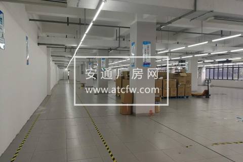 花园式园区 大小面积都有 带装修