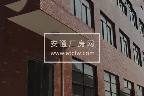 一楼1600方 靠近江东大桥 靠近未来艮山东路 交通方便