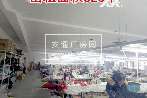 松江区泗泾镇九干路标准仓库厂房出租