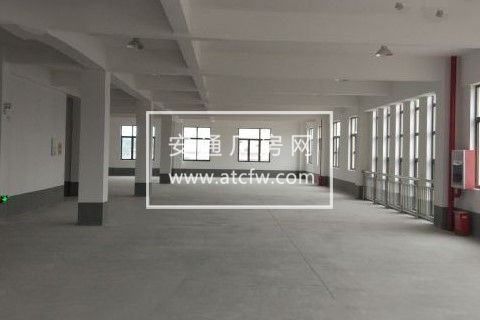 出租金山枫泾镇20500平框架结构厂房出租独门独院