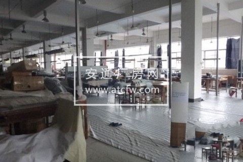 滨江-目前有三个厂房出租非毛坯
