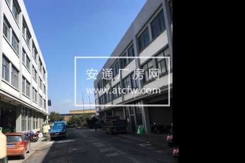 03省道标准厂房