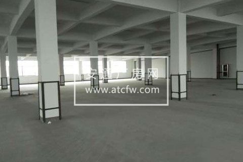 12000标准厂房，适合多种行业