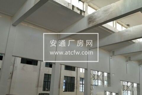 出租仁和栅桩桥东厂房2400平方底层