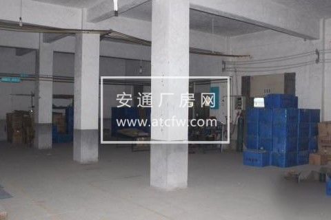 出租杭州青山附近临安高虹厂房800平米厂房三相供电