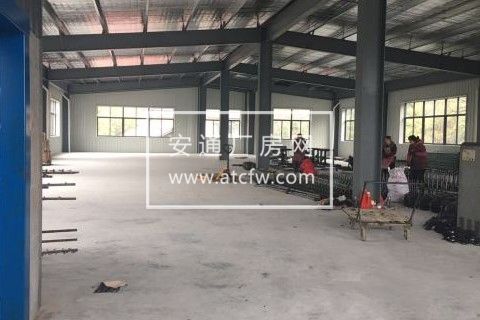 萧山义桥全新厂房出租