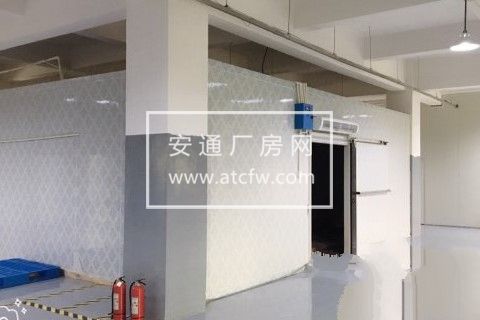萧山-开发区 食品工厂全新装修1640方