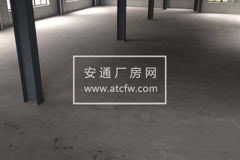 萧山义桥全新厂房出租