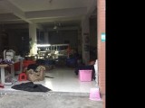余杭-乔司 永西村四组140号厂房出租
