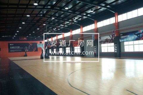 房东直租豪装厂房层高10米（可隔层）办公，电商，文创，摄影等