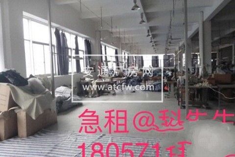 滨江-目前有三个厂房出租非毛坯