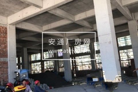 乐清盐盘工业区标准厂房出租(免租半年)