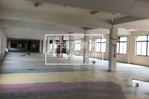 615平厂房出租 萧山新塘街道五联村索美家居西侧工业园区