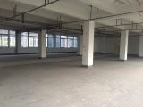 西湖科技园 不拆迁 600方厂房 淘宝电商 带货梯