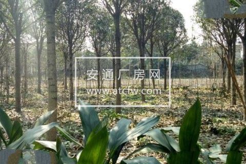 独院出租共2000平 带加工房 住房停车区等