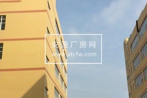 汉阳黄金口三环线旁全新大型厂房、仓库出租