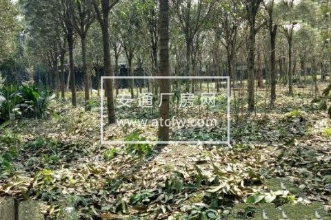 独院出租共2000平 带加工房 住房停车区等