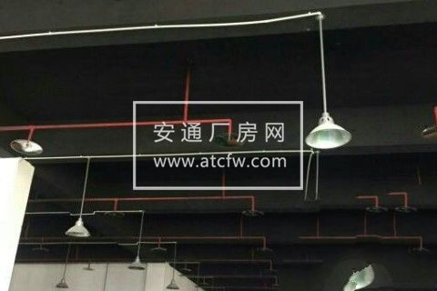 标准厂房带装修动力电西彭江津白市驿陶家厂房