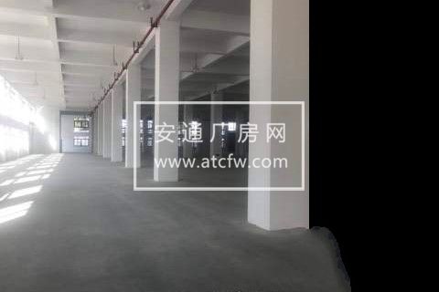 松江洞泾沪松公路标准厂房货梯直达1500平方