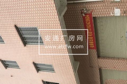 金沙洲万科四季花城全新电梯厂房200平米/层 