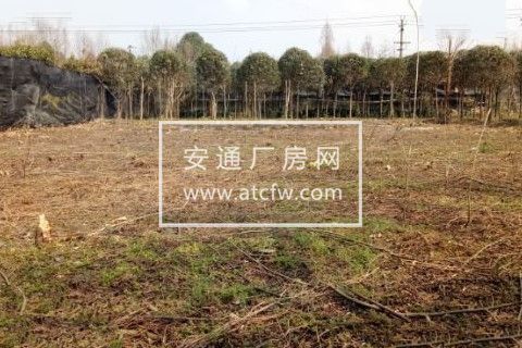 独院出租共2000平 带加工房 住房停车区等